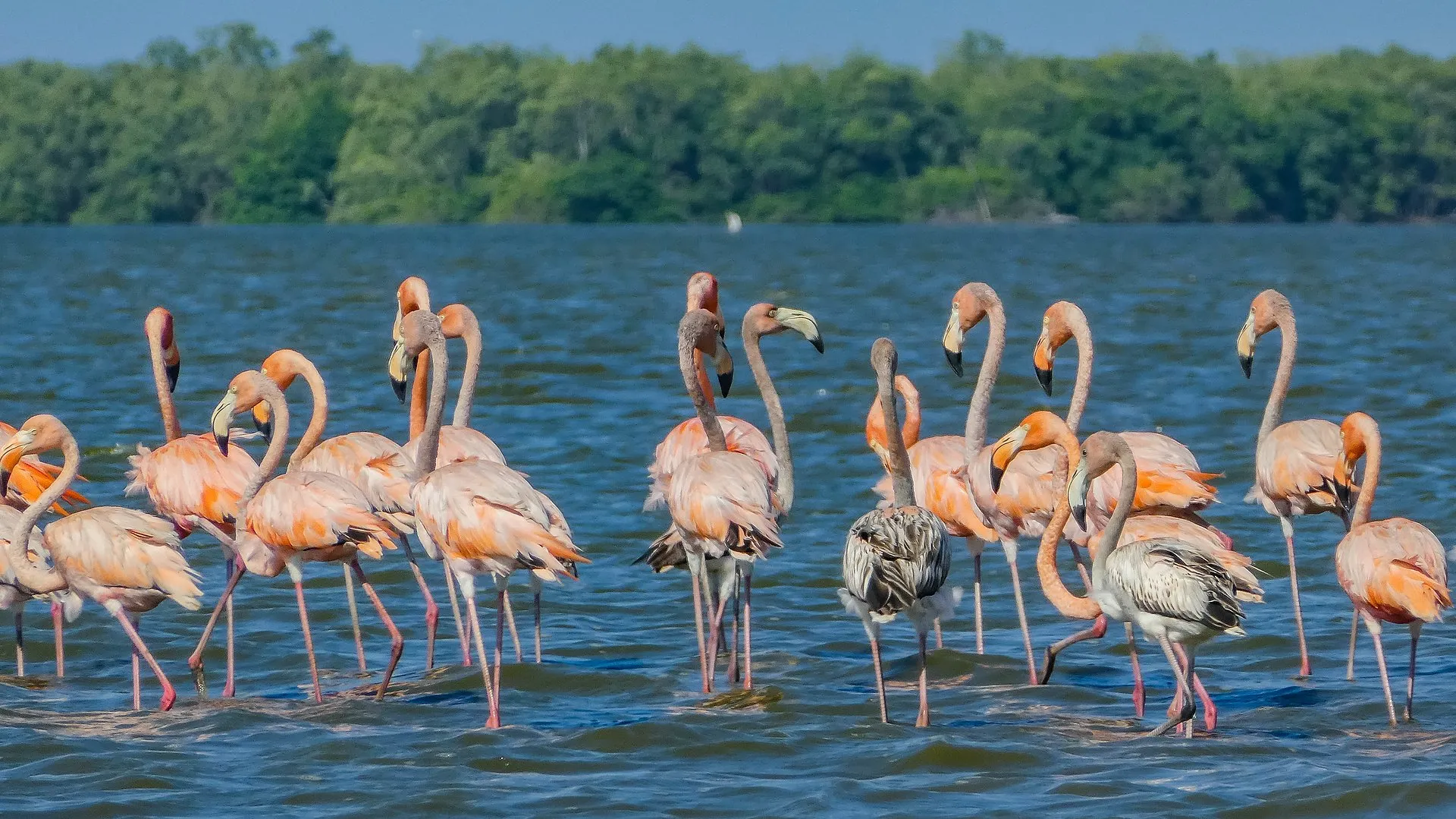 Bigi Pan Nature Reserve